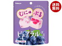 カバヤ ピュアラルグミ ぶどう 58g×8個入| 送料無料 お菓子 グミ 袋 グレープ 葡萄 ぶどう PURERAL