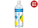 ダイドー 和ノチカラ 有機レモン使用炭酸水 500mlペットボトル×24本入×(2ケース)｜ 送料無料 炭酸 レモン 無糖 マグネシウム ビタミン