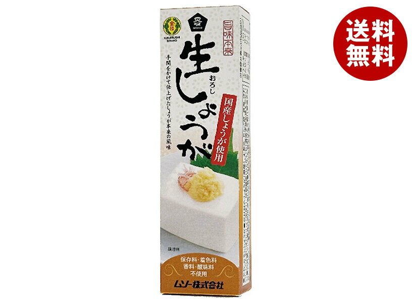 ムソー 旨味本来 生しょうが(チューブ入り) 40g×10本入×(2ケース)｜ 送料無料 調味料 しょうが 生 チューブ