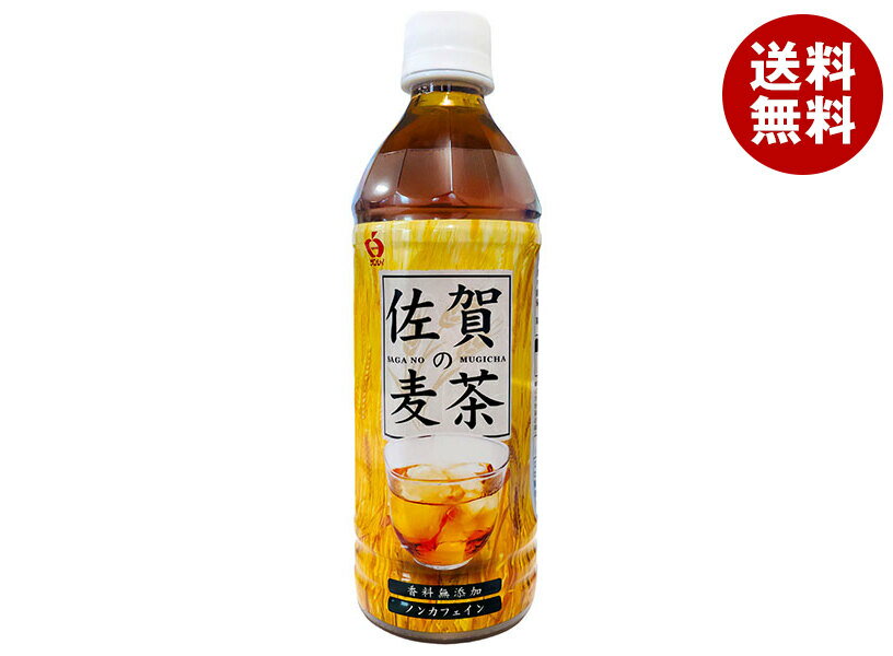 JAビバレッジ佐賀 佐賀の麦茶 500mlペットボトル×24