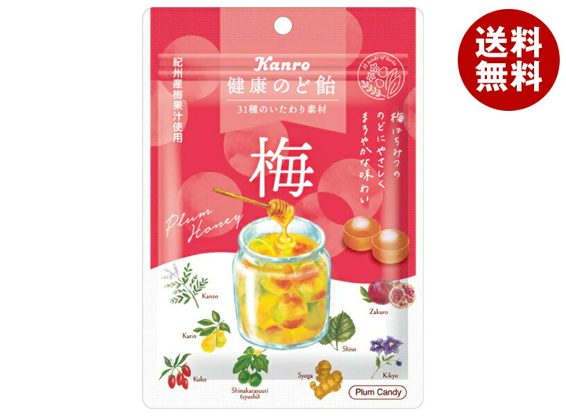 カンロ 健康のど飴 梅 90g×6袋入×(2ケース)｜ 送料無料 お菓子 あめ キャンディ のど飴 袋 うめ ウメ