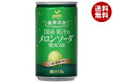 富永貿易 神戸居留地 国産果汁のメロンソーダ 185ml缶×20本入×(2ケース)| 送料無料 炭酸 ソーダ 缶 メロン 果物 フルーツ