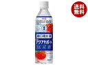 明治 アクアサポート 500mlペットボトル×24本入×(2ケース)| 送料無料 熱中症 経口補水液 水分補給 meiji