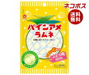 【全国送料無料】【ネコポス】パイン パインアメラムネ 25g×10袋入| ラムネ お菓子 パインアメ パイン