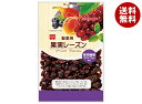共立食品 製菓用 果実レーズン 140g×6袋入| 送料無料 お菓子 ドライフルーツ 干しぶどう 乾燥果物 葡萄