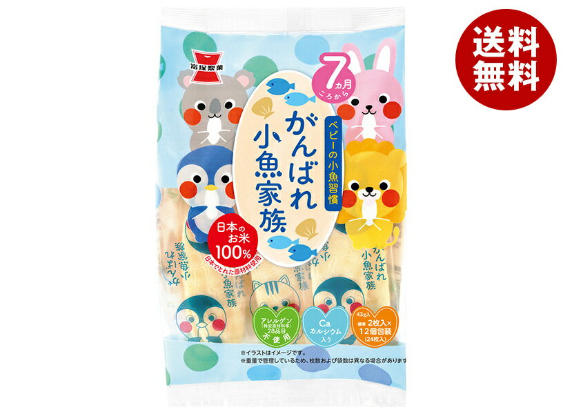 岩塚製菓 がんばれ!小魚家族 43g×6袋入| 送料無料 お菓子 袋 ベビー 7ヶ月頃から