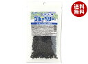 東洋ナッツ 野生種 ブルーベリー 110g×10袋入| 送料無料 ドライ 食物繊維 野生種
