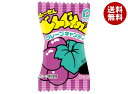 パイン どんぐりガム グレープ 100個×1袋入| 送料無料 お菓子 おやつ 駄菓子 ガム 飴 キャンディ