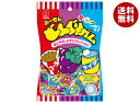 パイン どんぐりガムミックス 110g×10袋入| 送料無料 お菓子 おやつ 駄菓子 ガム 飴 キャンディ