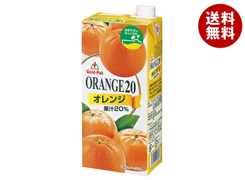 ゴールドパック オレンジ20 1000ml紙パック×6本入×(2ケース)｜ 送料無料 果実飲料 みかん 1000ml 1l 20％