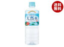 チェリオ 鈴鹿山系の天然水 600mlペットボトル×24本入×(2ケース)| 送料無料 水 天然水 ミネラルウォーター
