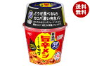 日清食品 完全メシ 韓国風旨辛メシ ユッケジャン 110g×6個入×(2ケース)| 送料無料 一般食品 インスタント食品 ユッケジャン 韓国