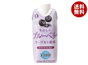 JAビバレッジ佐賀 やさしいブルーベリー 330ml紙パック×12本入×(2ケース)| 送料無料 乳性飲料 紙パック プリズマ容器 ブルーベリー