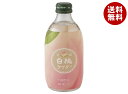 友桝飲料 豊潤白桃サイダー 300ml瓶×24本入| 送料無料 サイダー ソーダ 炭酸 スパークリング 桃 もも