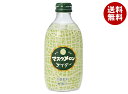 友桝飲料 マスクメロンサイダー 300ml瓶×24本入×(2ケース)| 送料無料 サイダー ソーダ 炭酸 スパークリング メロン