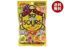 ノーベル製菓 カチカチちびカメカメサワーズ(SOURS) フルーツアソ—ト 70g×6袋入×(2ケース)| 送料無料 グミ 弾力ハードグミ おやつ ...