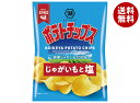 コイケヤ ポテトチップス じゃがいもと塩 60g×12袋入| 送料無料 お菓子 スナック菓子 しお ポテチ