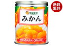 楽園果実 みかん 350g×24個入×(2ケース)| 送料無料 みかん オレンジ ミカン 果実 果物 フルーツ