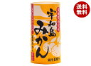 愛工房 宇和島みかん 125mlカートカン×30本入| 送料無料 果実飲料 果汁100% オレンジ ジュース 紙パック