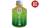 JAビバレッジ佐賀 うれしの茶 280mlペットボトル×24本入×(2ケース)| 送料無料 茶飲料 緑茶 PET 280ml