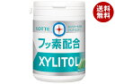 ロッテ キシリトールガム +フッ素 ペパーミント スリムボトル 125g×6個入| 送料無料 お菓子 ガム ボトル フッ素