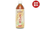 日本薬剤 グァバ茶 500mlペットボトル×24本入| 送料無料 茶飲料 健康茶 PET お茶 ビタミンC