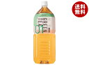 HARUNA(ハルナ) ルカフェ 緑茶 2Lペットボトル×6本入×(2ケース)| 送料無料 緑茶 お茶 緑茶 2l 2000ml PET 掛川茶 静岡県 掛川