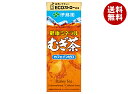 伊藤園 健康ミネラルむぎ茶 250ml紙パック×24本入| 送料無料 伊藤園 麦茶 茶 ミネラル麦茶 お茶