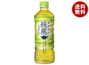 コカコーラ 綾鷹 525mlペットボトル×24本入×(2ケース)| 送料無料 茶 ペットボトル 緑茶 あやたか お茶