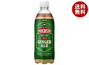 アサヒ飲料 ウィルキンソン ジンジャエール 500mlペットボトル×24本入×(2ケース)| 送料無料 炭酸 割り材 強炭酸 辛口