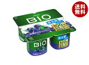 ダノンジャパン ダノンビオ BIO 旬摘みブルーベリー (75g×4)×6個入 メーカー 問屋直送 チルド 冷蔵品| 送料無料 ダノン ヨーグルト ブルーベリー ダノンヨーグルト