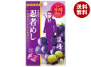 UHA味覚糖 忍者めし (巨峰) 20g×10袋入| 送料無料 お菓子 グミ ハードグミ 忍者式ダイエット グレープ 葡萄