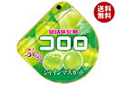 UHA味覚糖 コロロ シャインマスカット 48g×6袋入×(2ケース)| 送料無料 お菓子 グミ マスカット シャインマスカット