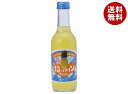友桝飲料 塩&パインサイダー 245ml瓶×24本入×(2ケース)| 送料無料 サイダー 果汁 パイン 塩