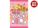 マルエス 明太マヨいか天 22g×10(5×2)袋入×(2ケース)| 送料無料 いか イカ おつまみ 菓子 明太子 めんたいこ