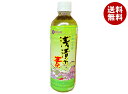 マルワ食品 浅漬の素 500mlペットボトル×20本入×(2ケース)| 送料無料 一般食品 浅漬けの素 素
