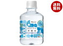 HARUNA(ハルナ) オモテナシ 天然水 300mlペットボトル×24本入| 送料無料 水 PET ミネラルウォーター