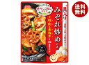 イチビキ ベジゴロおかず みぞれ炒めの素 250g×10袋入×(2ケース)| 送料無料 具材入 調味料 即席調味料 2〜3人前