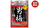 ノーベル製菓 男梅ほし梅 20g×6個入×(2ケース)| 送料無料 お菓子 うめ 袋