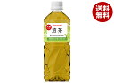 山崎製パン 煎茶 555mlペットボトル×24本入×(2ケース)| 送料無料 茶飲料 PET 茶 煎茶 お茶