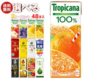キリン トロピカーナ100%ジュース 午後の紅茶 FIRE(ファイア) 生茶 毎日果菜など選べる2ケースセット 250ml・200ml紙パック×48(24×2)本入| 送料無料 フルーツ 紅茶 コーヒー 珈琲