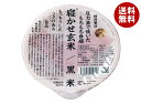 結わえる 寝かせ玄米ごはん 黒米ブレンド 160g×24個入×(2ケース)| 送料無料 レトルト食品 ご飯 米 パックご飯