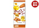七尾製菓 半生かりんとうドーナツ 蜂蜜 8本×12袋入×(2ケース)| 送料無料 お菓子 油菓子 どーなつ はちみつ