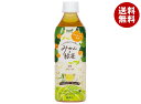 サーフビバレッジ みかんと緑茶 500mlペットボトル×24本入×(2ケース)| 送料無料 茶 無果汁 カロリーゼロ 無糖