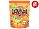 【送料無料・メーカー/問屋直送品・代引不可】ぼんち ぼんち揚 チャック付 100g×12袋入| お菓子 おつまみ せんべい 袋