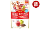 三井農林 日東紅茶 水出しアイスティー アップル ルイボスティー (2.5g×10袋)×24袋入| 送料無料 水だし ノンカフェイン りんごの香り ティーバッグ