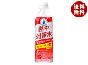赤穂化成 熱中対策水 アセロラ味 500mlペットボトル×24本入×(2ケース)| 送料無料 熱中症対策 スポーツ 水分補給 塩分 ビタミン