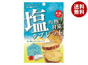 赤穂化成 灼熱対策 塩タブレット パイン味 28g×80(8×10)袋入×(2ケース)| 送料無料 お菓子 タブレット 袋 塩分補給 クエン酸