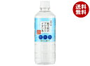 ケイ・エフ・ジー 純天然のアルカリイオン水 金城の華 500mlペットボトル×24本入×(2ケース)| 送料無料 天然水 ミネラルウォーター 水 鉱泉水 PET