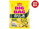 【送料無料・メーカー/問屋直送品・代引不可】カルビー BIG BAG ポテトチップス のりしお 160g×12袋入| お菓子 スナック菓子 ポテチ ビッグ